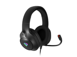 GENESIS NEON 213